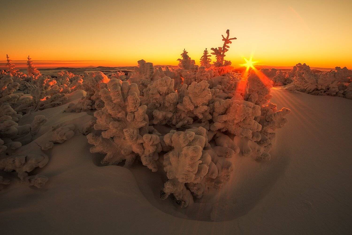 landscape,canon,winter, Iza i Darek Mitręga