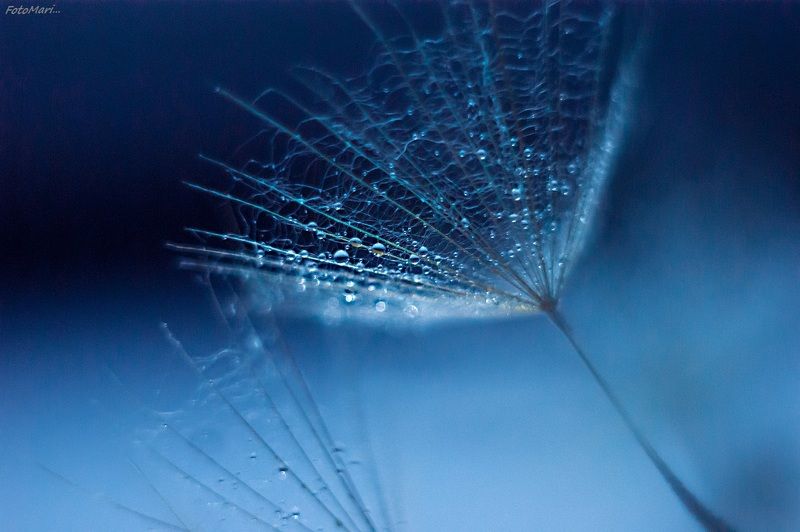 Легче воздуха. фото превью