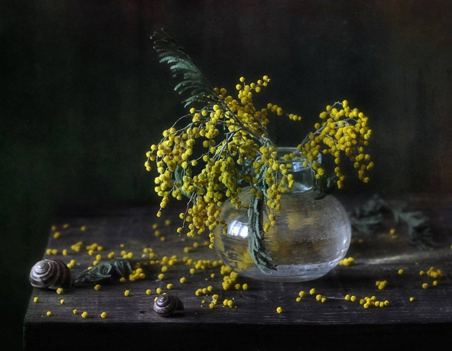 натюрморт,мимоза, Наталия