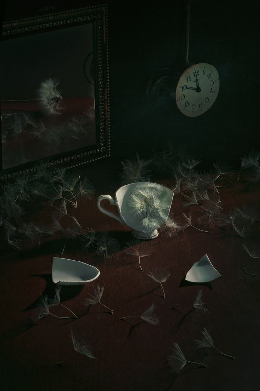 Когда одуванчики были большими фото превью