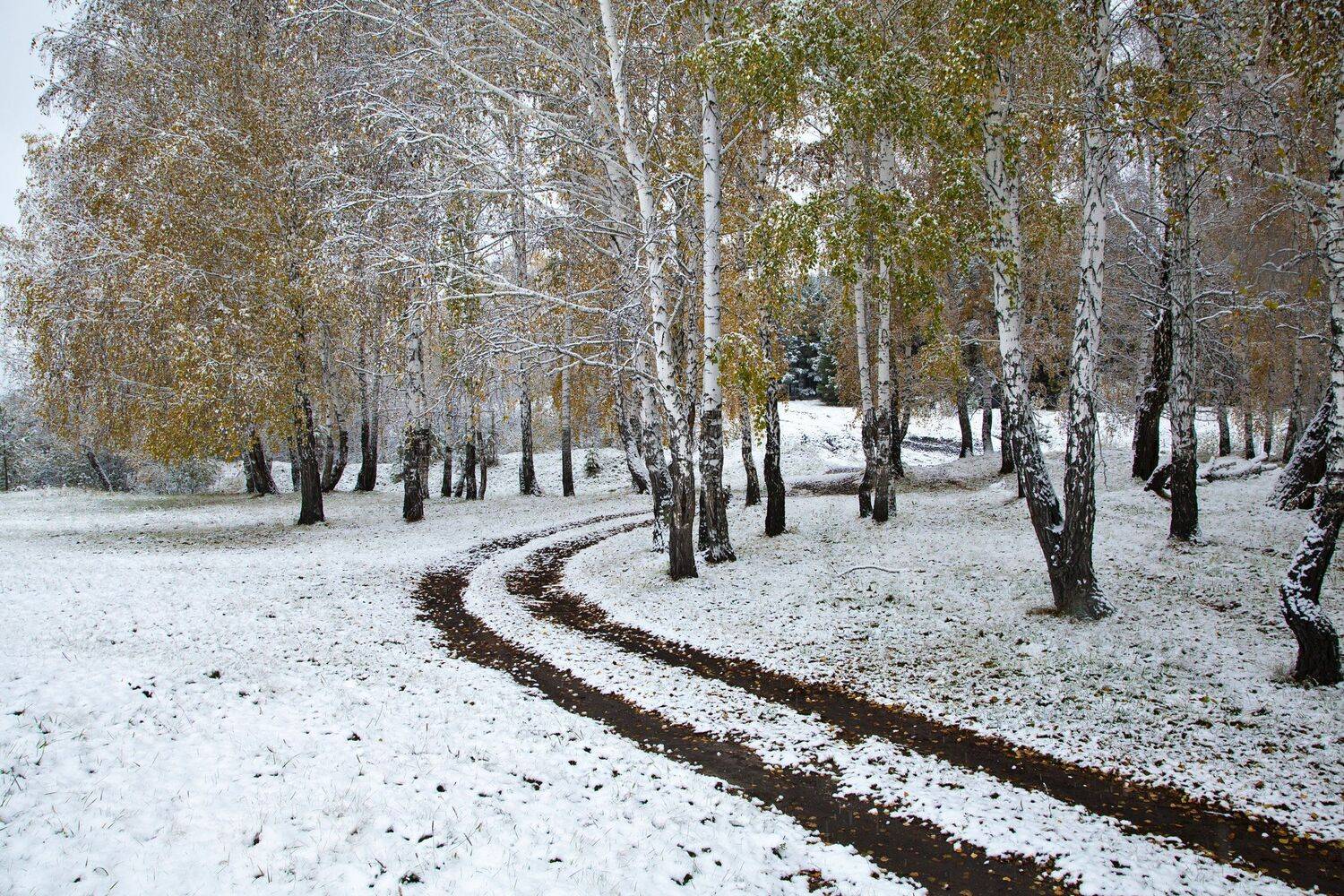 , Сергей Евдокимов