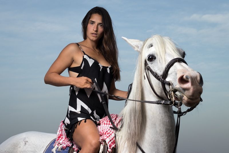 на белом коне фото превью