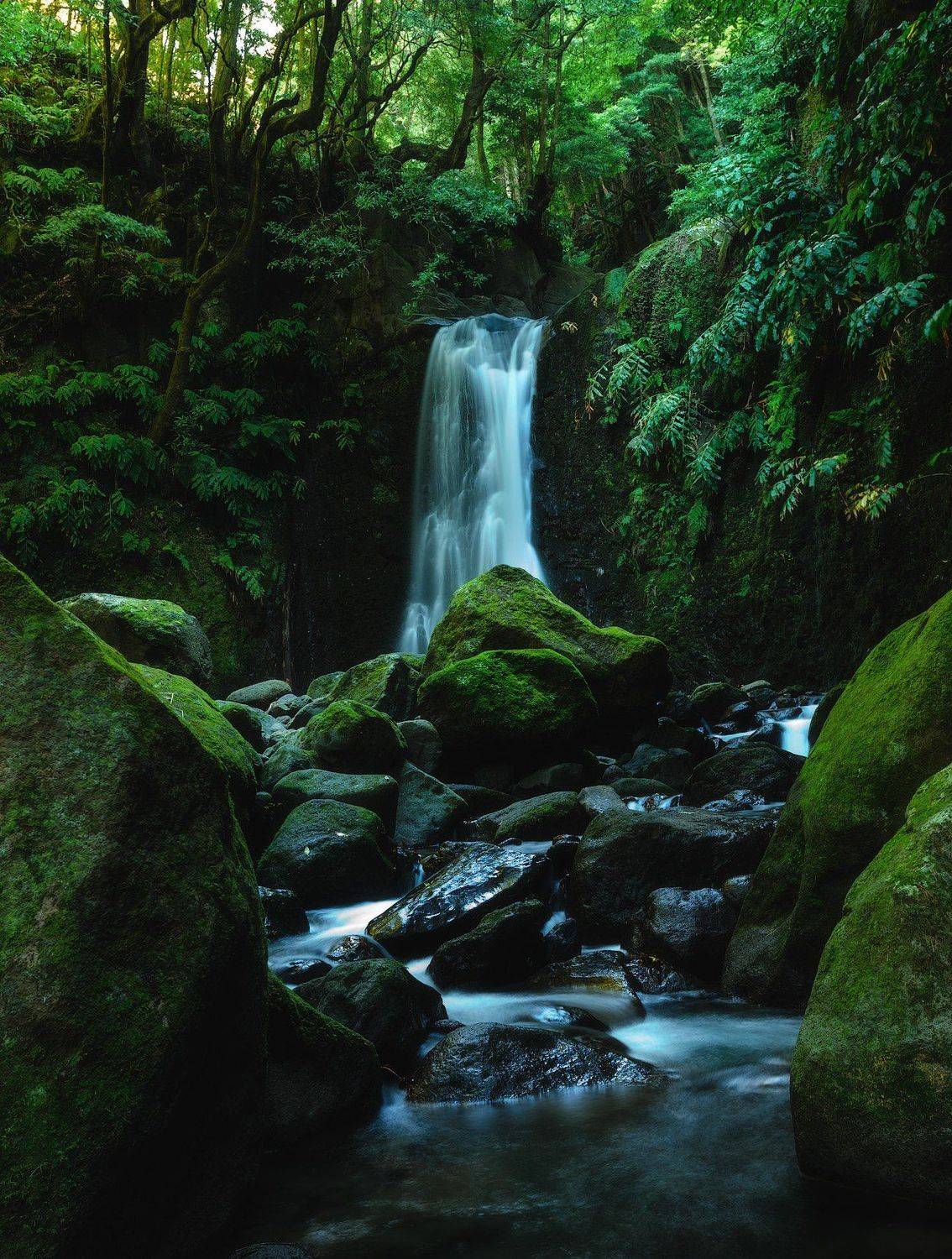 португалия, азорские острова, сан мигел, остров, водопад, лес, океан, длинная выдержка, тропики, скалы, атлантический океан, Оборотов Алексей
