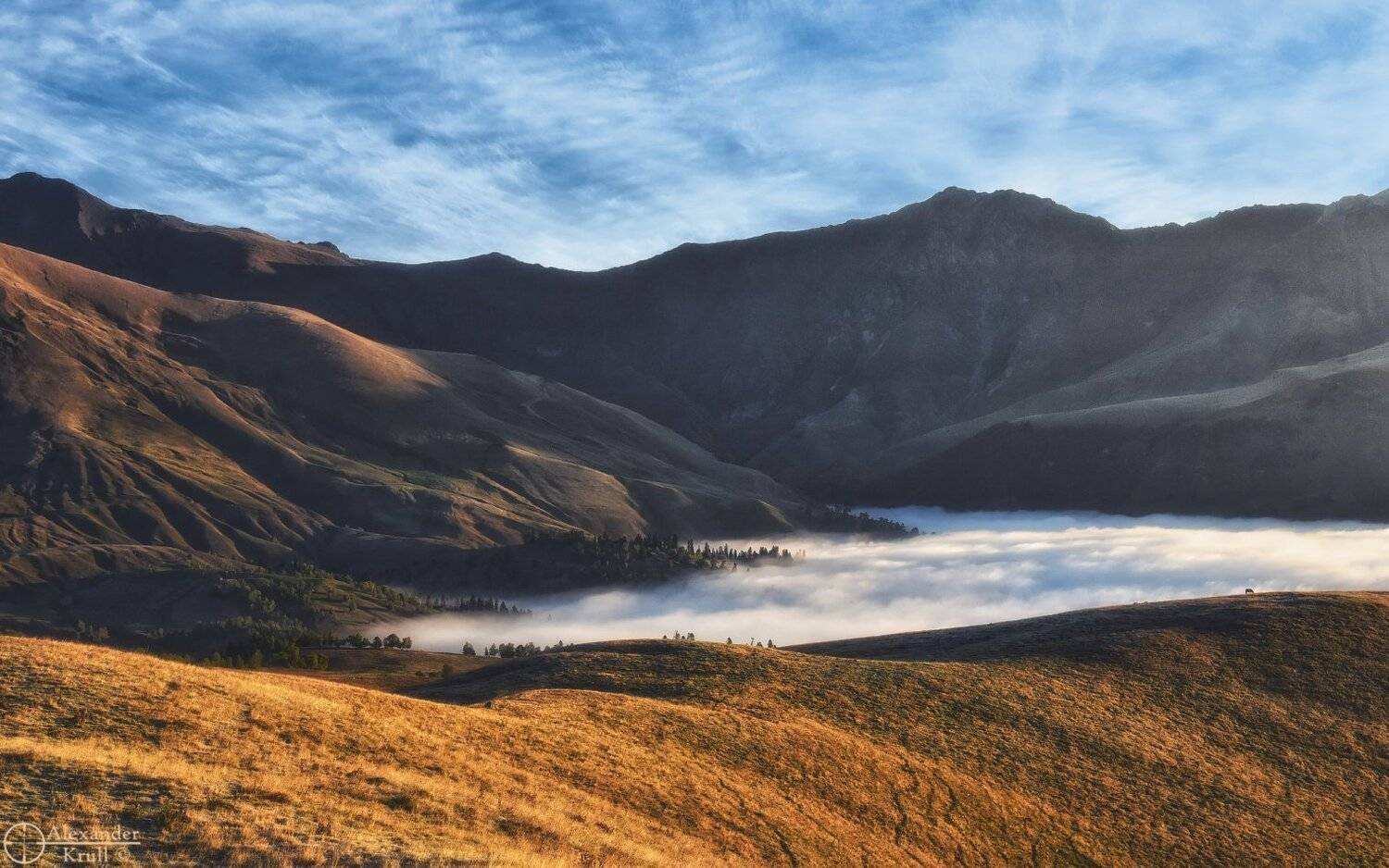 , Александр Круль