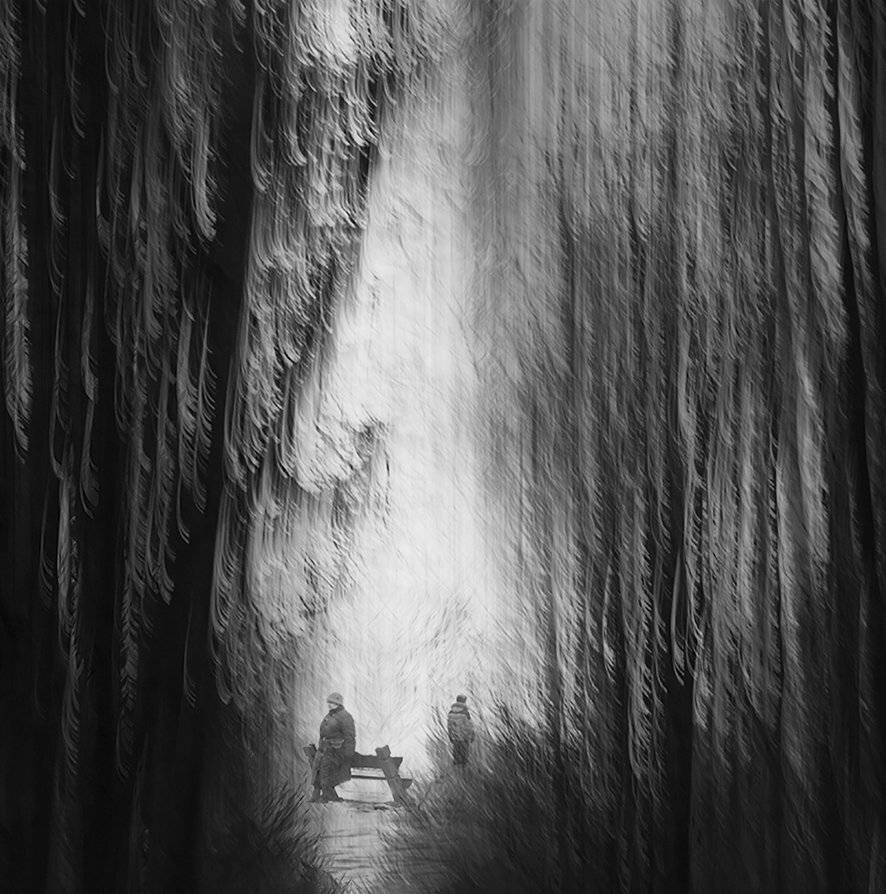 , T. Bondarenko