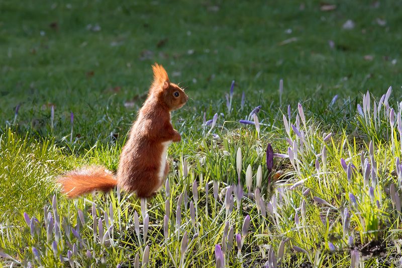 неужто, опять весна фото превью