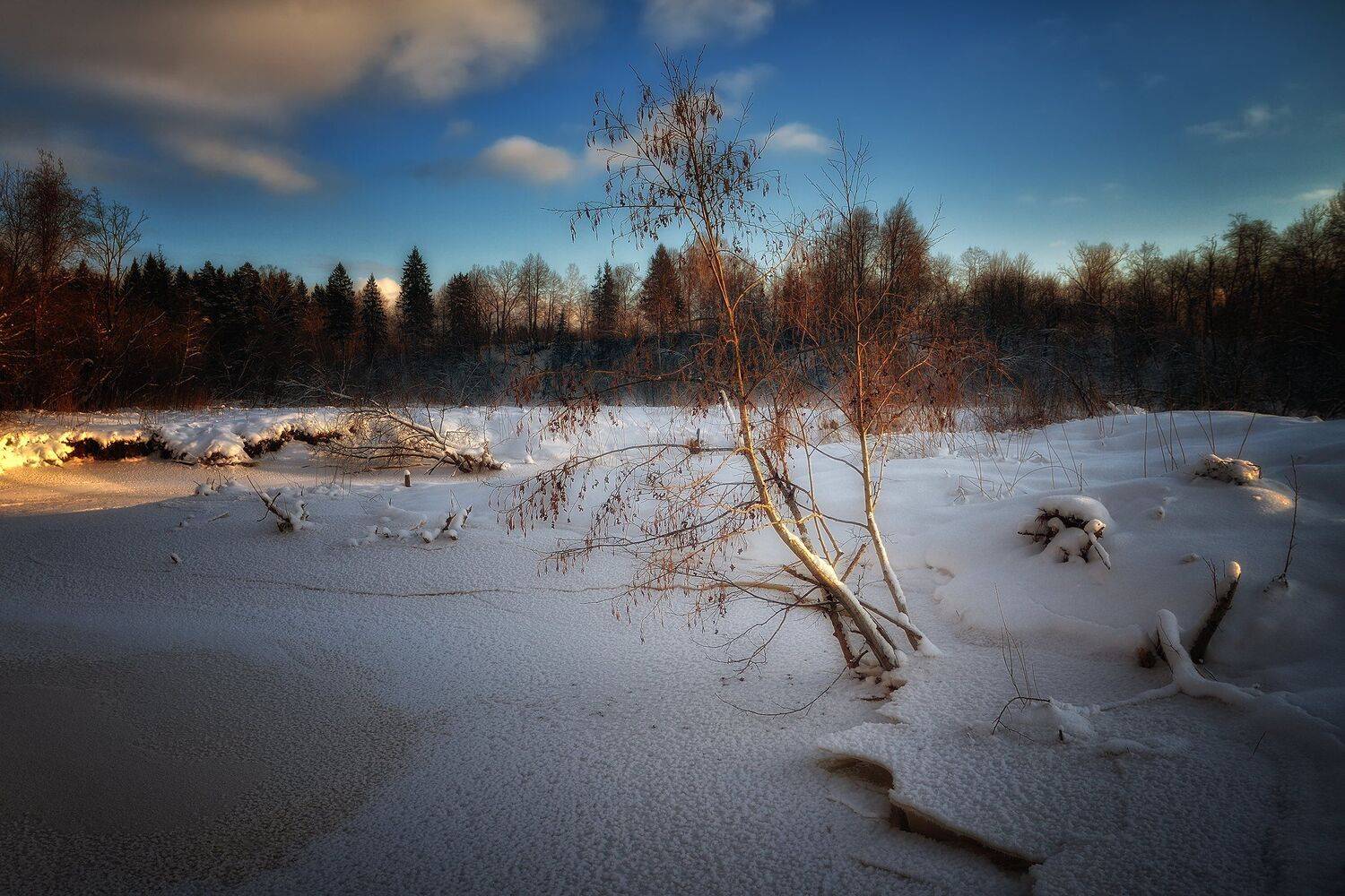, Алексей Никонов