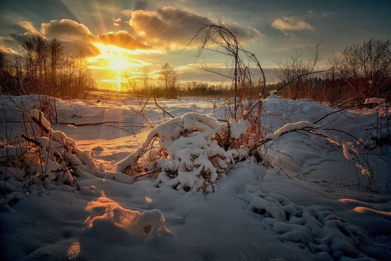 , Алексей Никонов