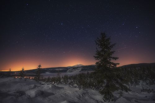 Winter Night Tales...