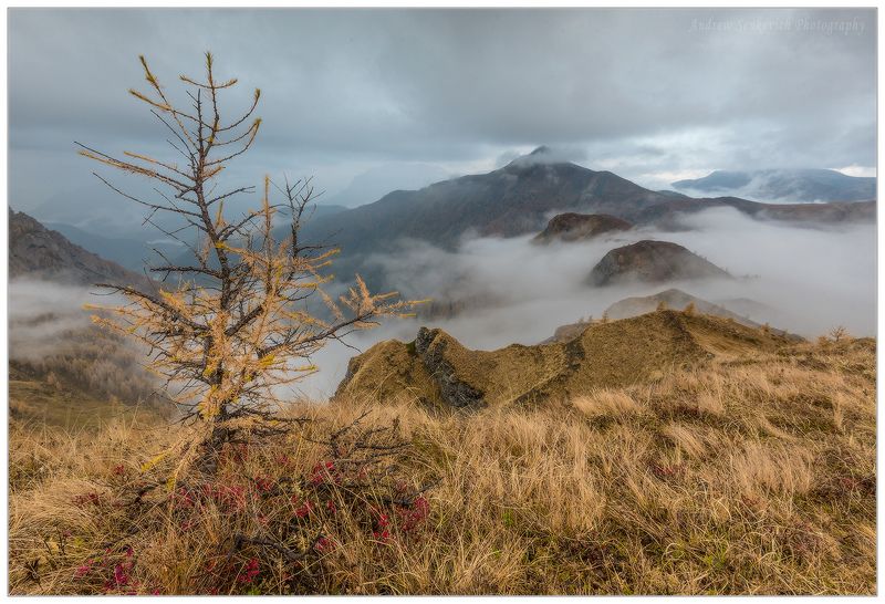 доломиты, италия, осень, пасмурно, утро Хмурое утро в Доломитах фото превью