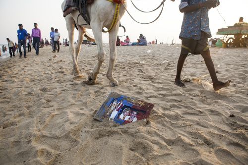 Beach life 