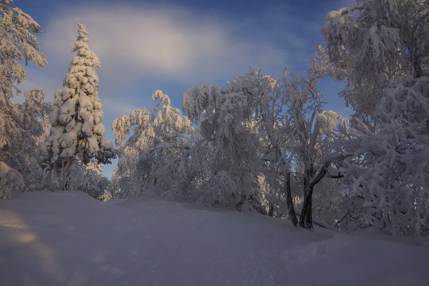 , Кондратьев Алексей