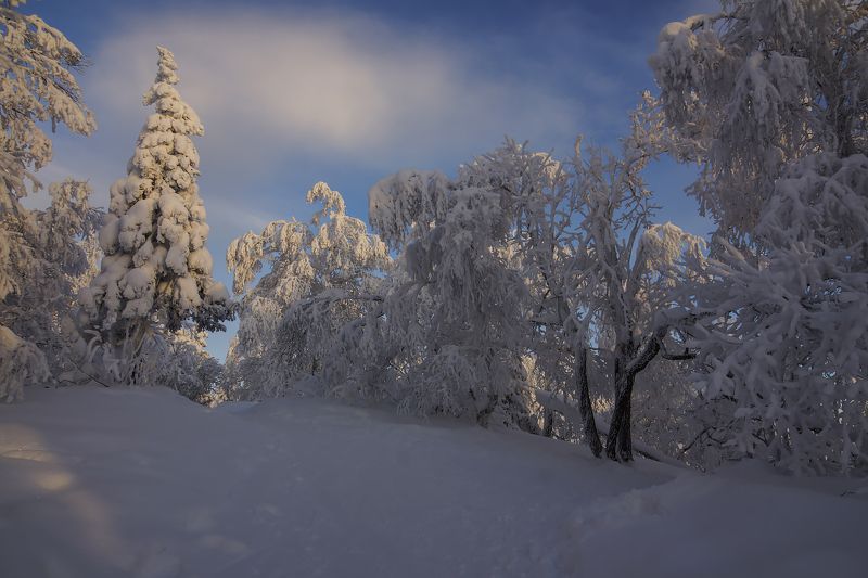 Зимний этюд... фото превью