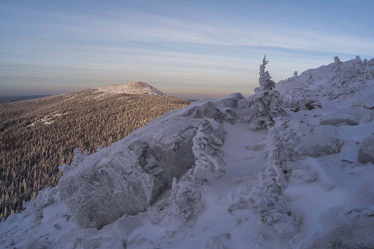 , Андрей Шарапов
