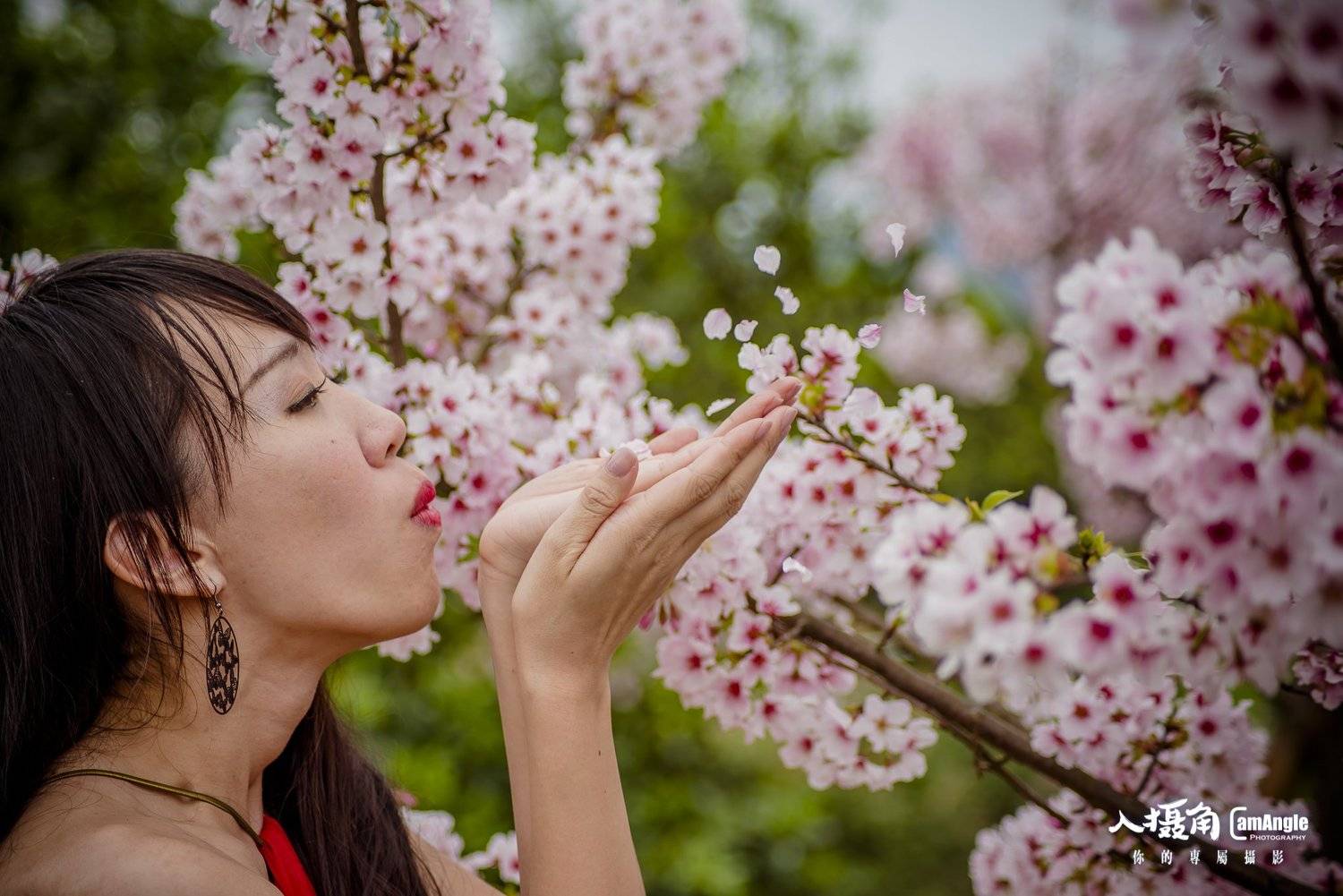 展覽專屬攝影, 旅遊專屬攝影, 個人專屬攝影, 攝影師出租, 雙北, 專屬人像攝影, PortraitPhotography, ProPhotography, sexy, sexygirl, 性感, 戶外人像, 北海岸秘境性感, 旅遊跟拍, 旅行跟拍, 展覽跟拍, 旅遊側拍寫真, 個人形象拍攝, 體育活動紀錄, 活動紀錄拍攝, 孕婦寫真, 閨密寫真, 櫻花, 吉野櫻, 櫻吹雪, , Amingo Huang