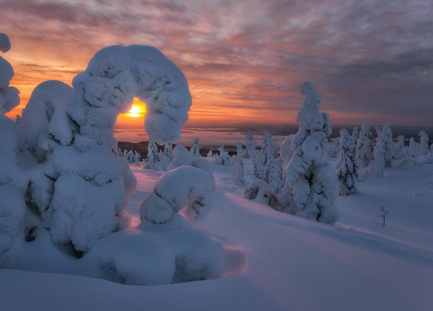 кольский, волосяная, Андрей Грачев