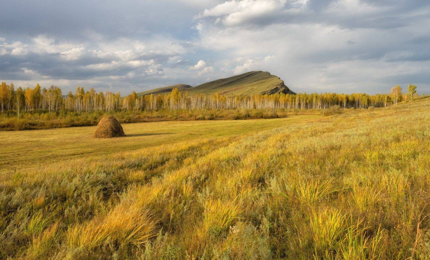 , Лещёнок Александр