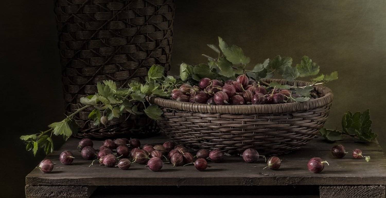 натюрморт, крыжовник, ягоды, still life, Оля