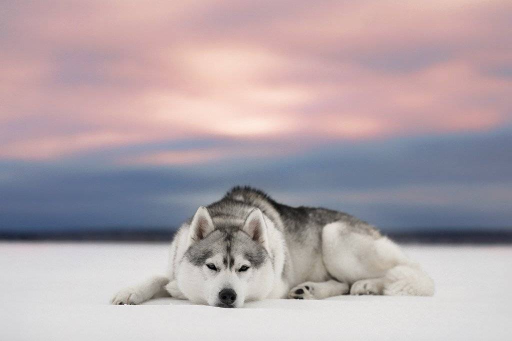 , Андрей Ершов