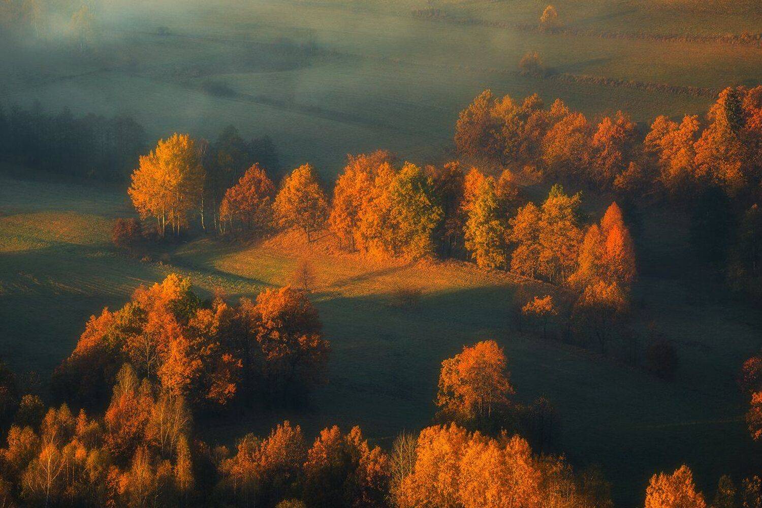 landscape,canon,mist,light,autumn, Iza i Darek Mitręga