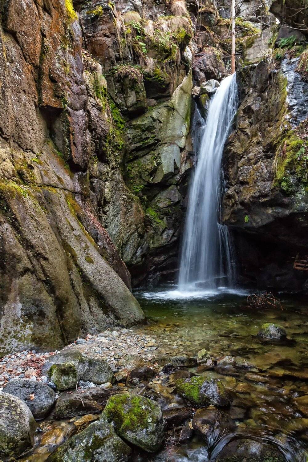 , Бистра Стоименова