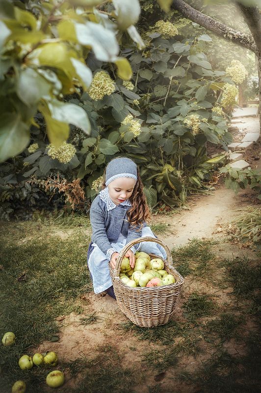 девочка, дети, яблоневый сад Яблоневый сад фото превью