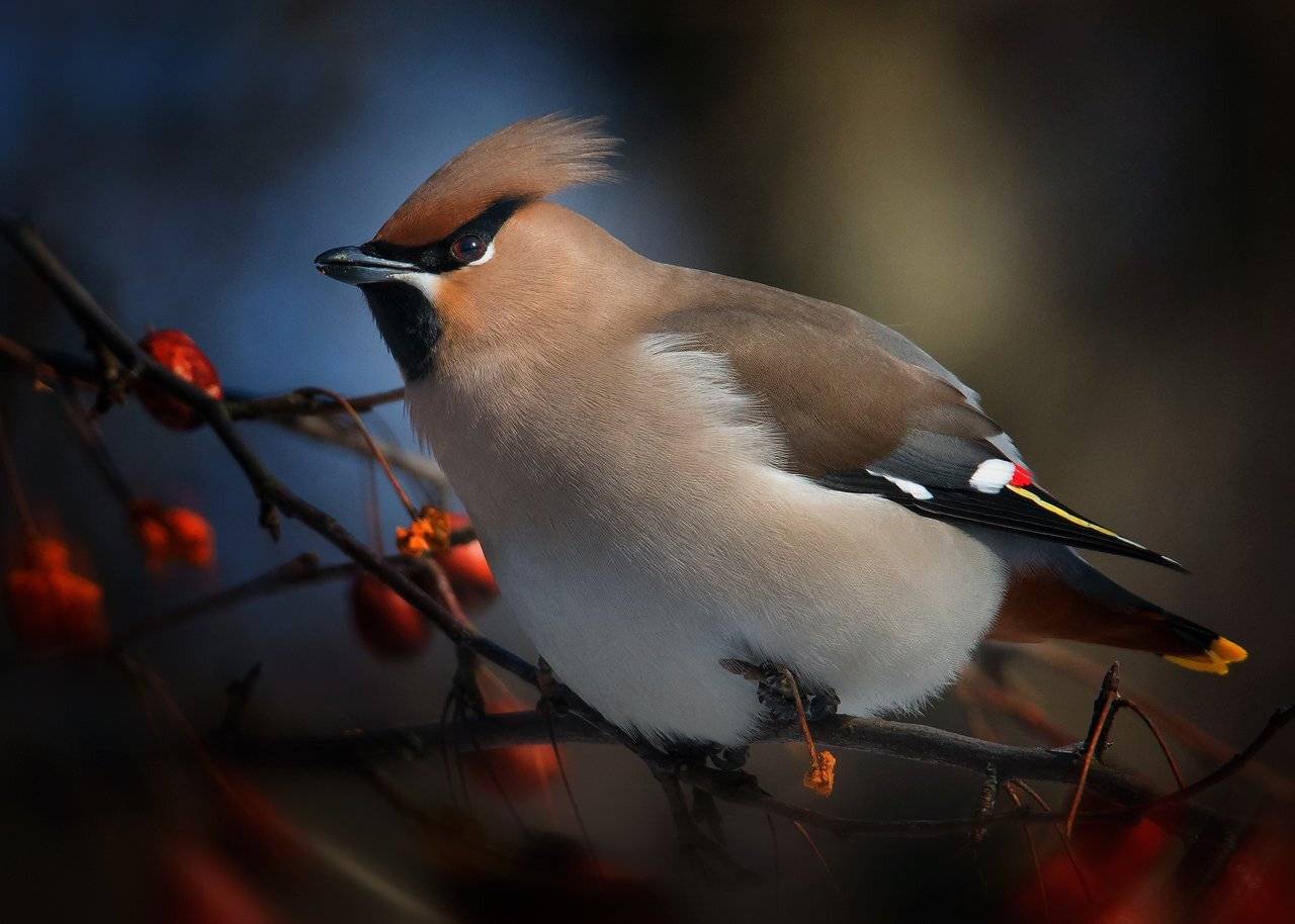 , Валерий Субачев