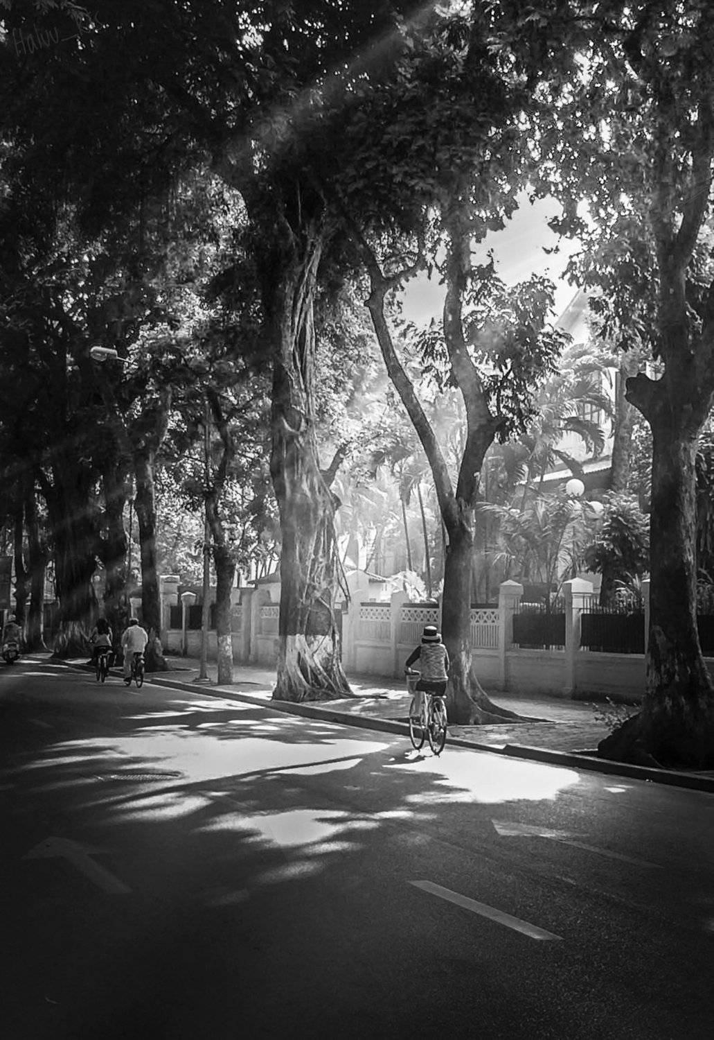 hanoi winter bw lanscape rays, Haluukts