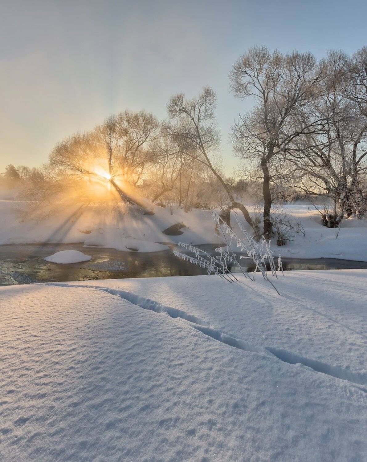 , Николай Андреев
