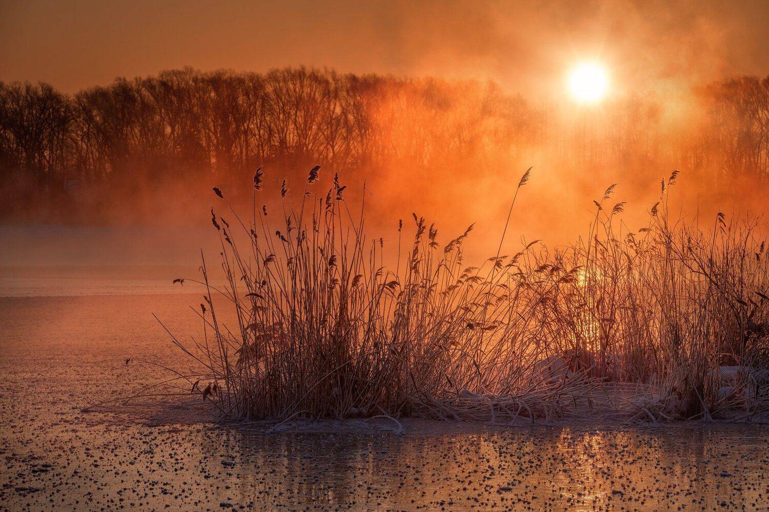пейзаж, зима, озеро, лед, снег, утро, рассвет, восход, мороз, холод, шатура, Андрей Чиж