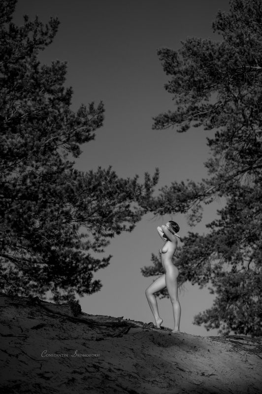 konstantin skomorokh, константин скоморох, kiev, киев, severodonetsk, северодонецк, ню, art nude, fine art, Antique 3 фото превью