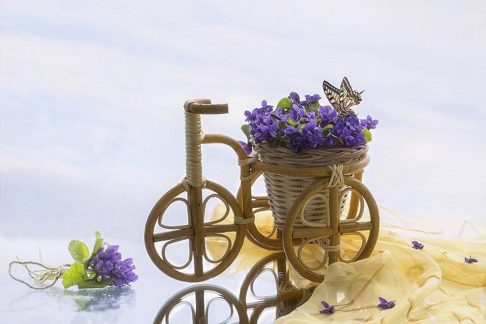 натюрморт, весна, фиалки, букет, бабочка, корзинка, Ирина Приходько