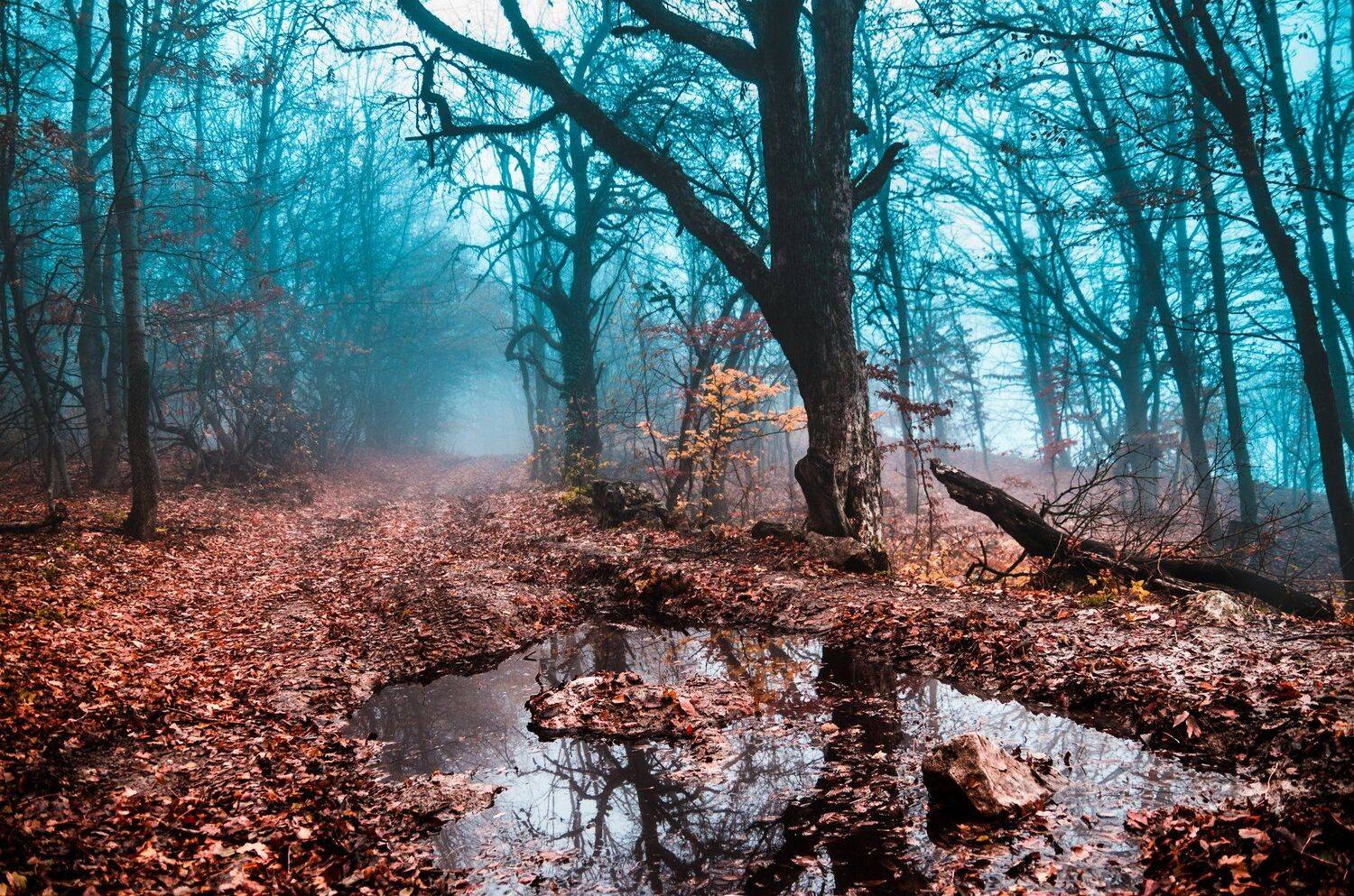 , Evgeniy Khilkevitch