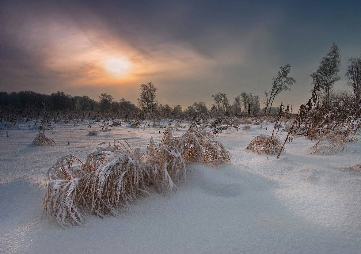 зима, вечер, пейзаж, снег, трава, свет, солнце, небо, валерий_чичкин, Валерий Чичкин
