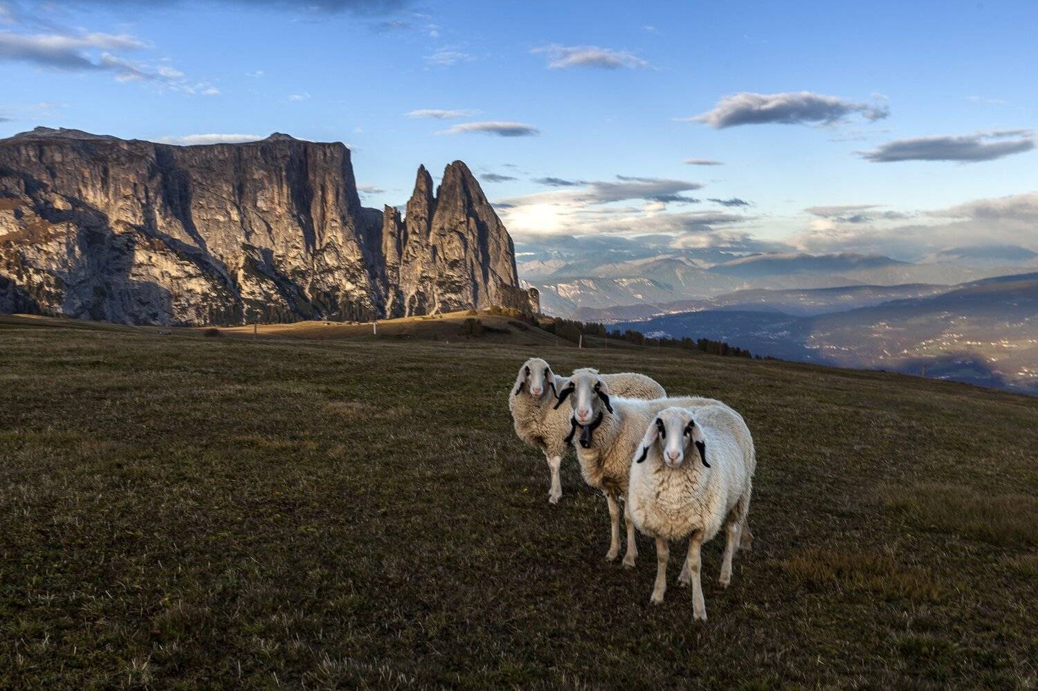 italy, dolomites, sudtirol, mountains,, Igor Sokolovsky