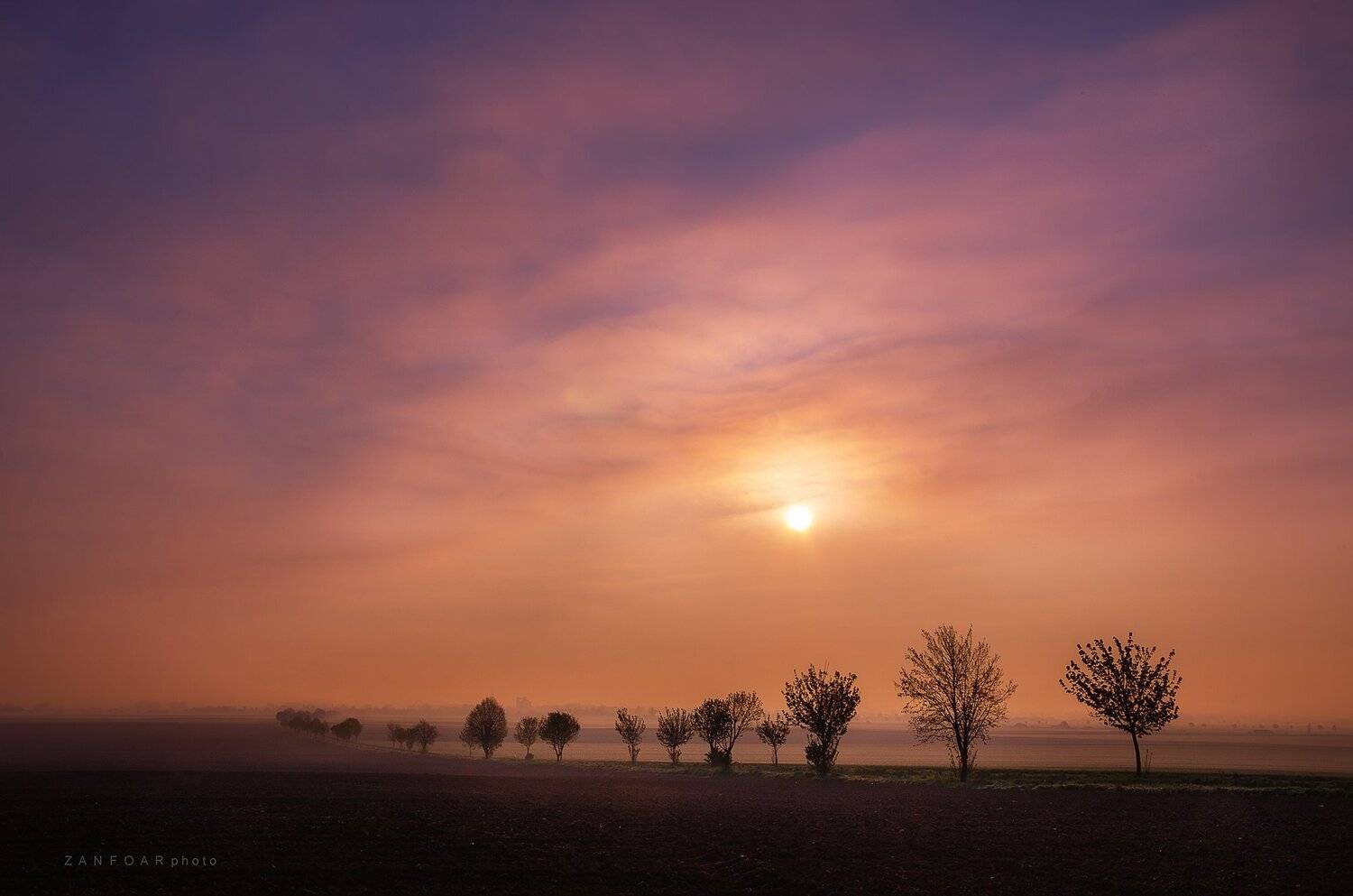 аллея,аллеи деревья деревья зима природа пейзаж снег снег небо облака солнце драматические поля линии никон d7000 zanfoar чешская республика,чехия, Zanfoar