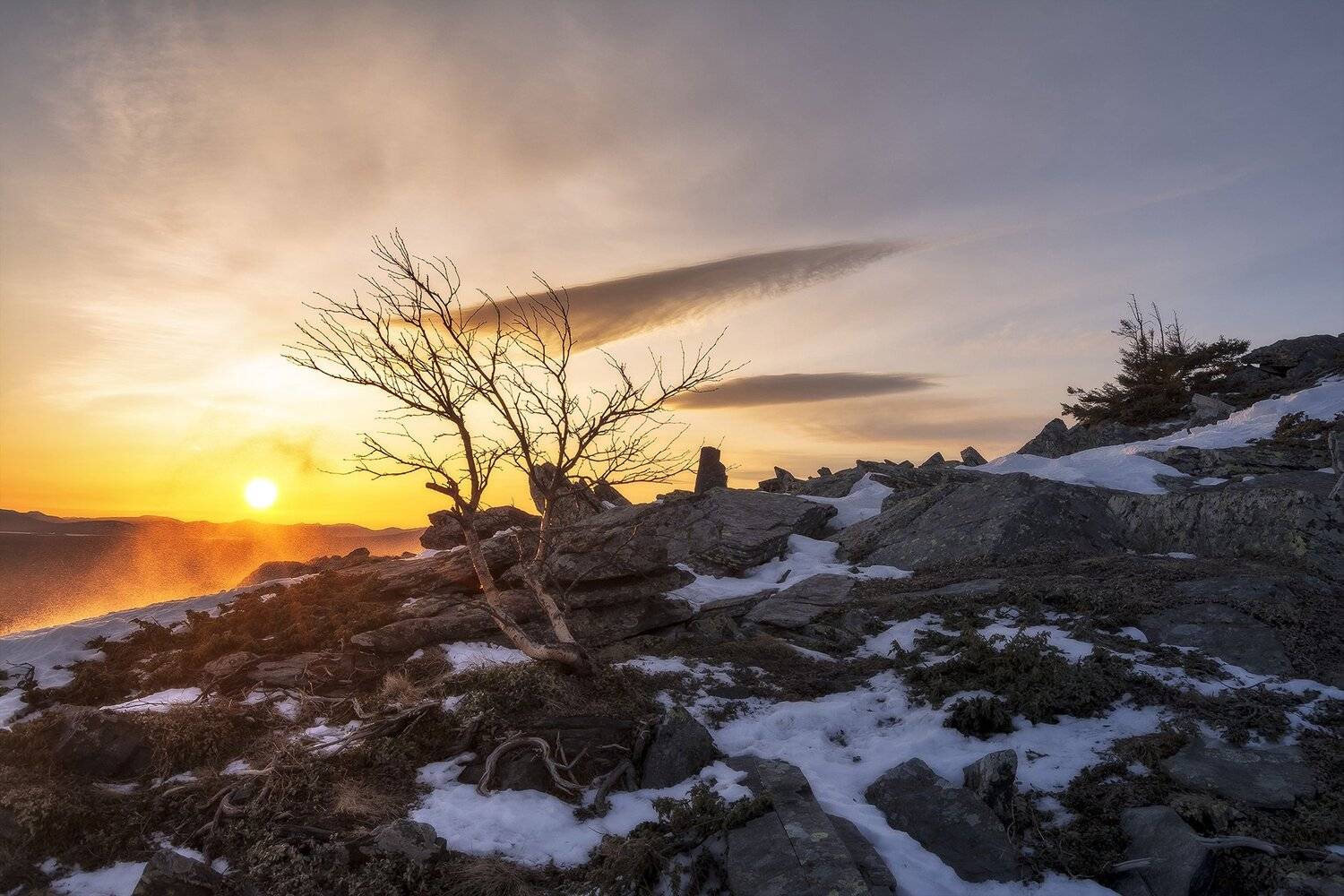 , Андрей Шарапов