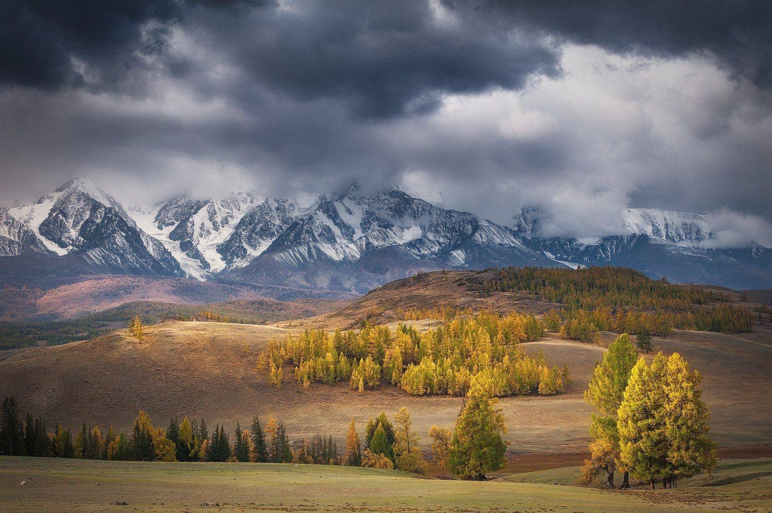 алтай осень, Юрий Перцов