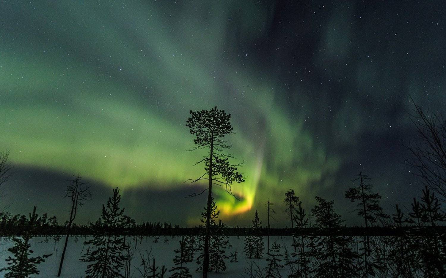северное сияние,ночь,природа,коми,север, Игорь Триер
