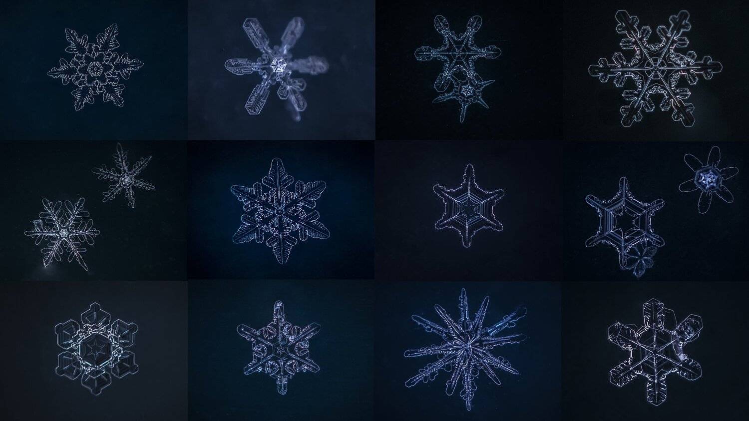 снежинки, Евгения Муравская