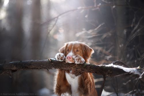 В ожидании лета