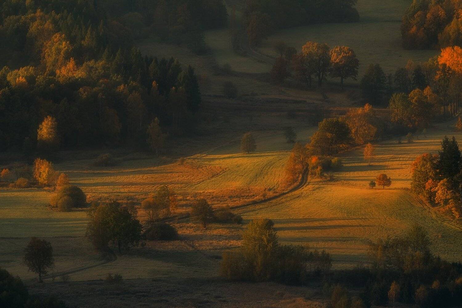landscape,canon,mist,light,autumn, Iza i Darek Mitręga