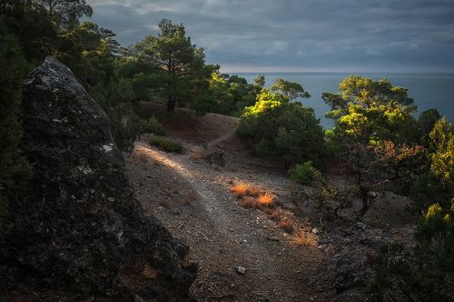 На крымских тропинках