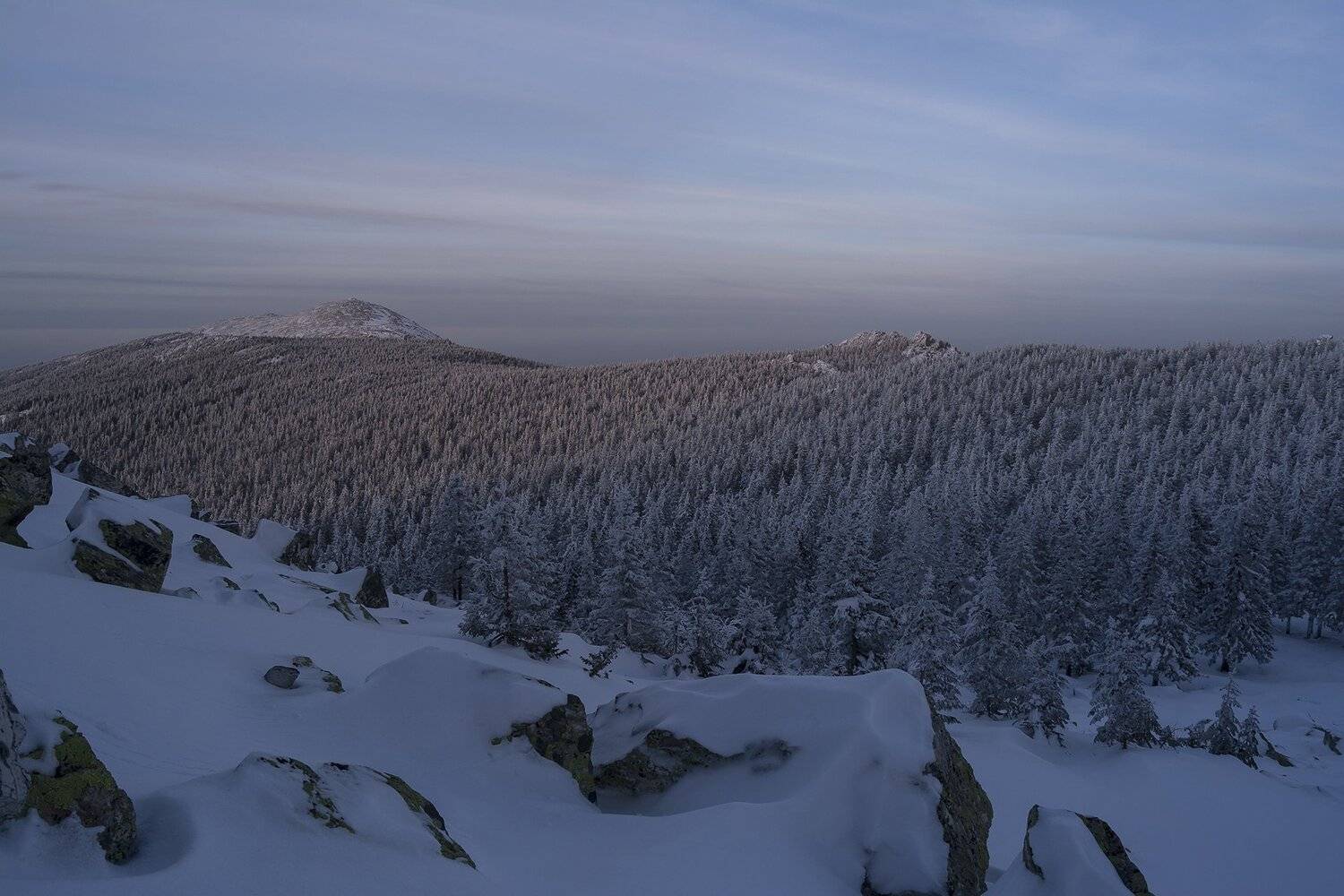 , Андрей Шарапов