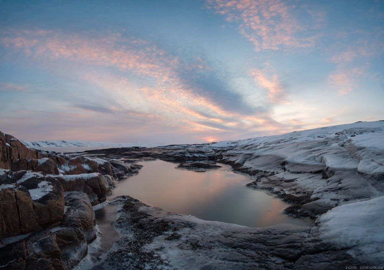 рассвет,баренцево море,териберка,утро,мороз,зима,крайний север,заполярный круг,пейзаж,россия,скалы,берег,снег,лёд, Горшков Игорь