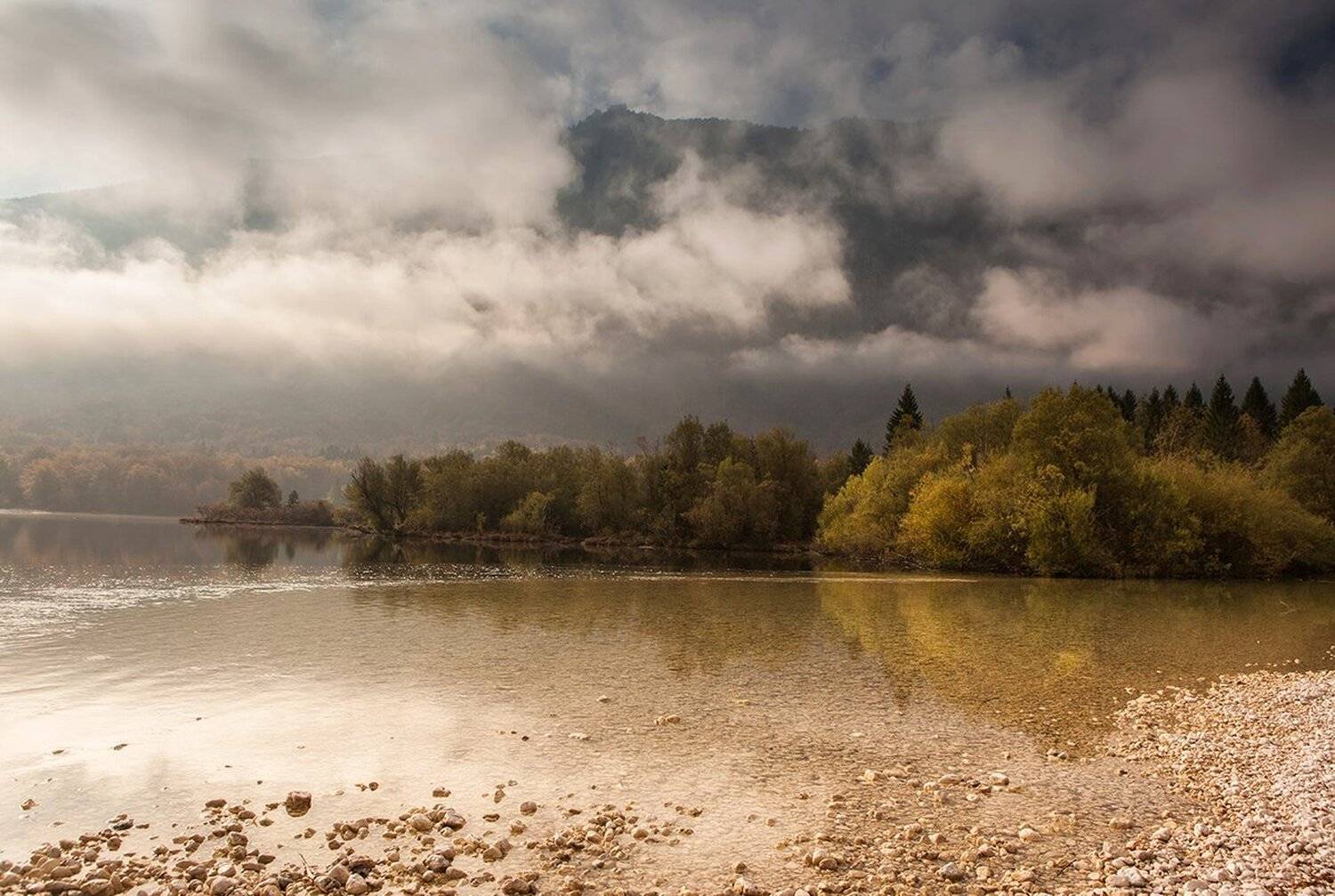 , Света  Черникова