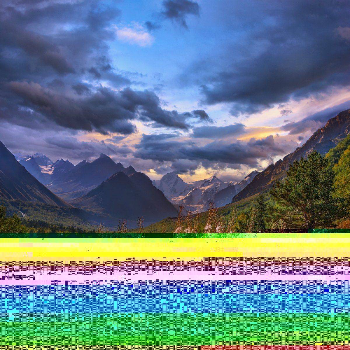 , Елена Брежицкая