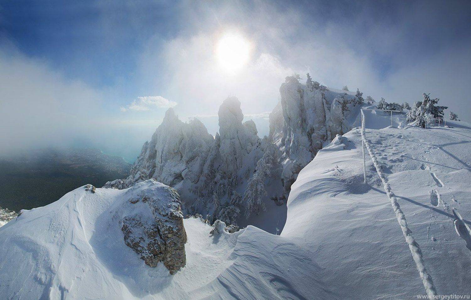крым, ялта, зима, снег, ай-петри, фотограф крым, фотограф ялта, пейзажи крыма, сосна, дерево, туман, Serge Titov