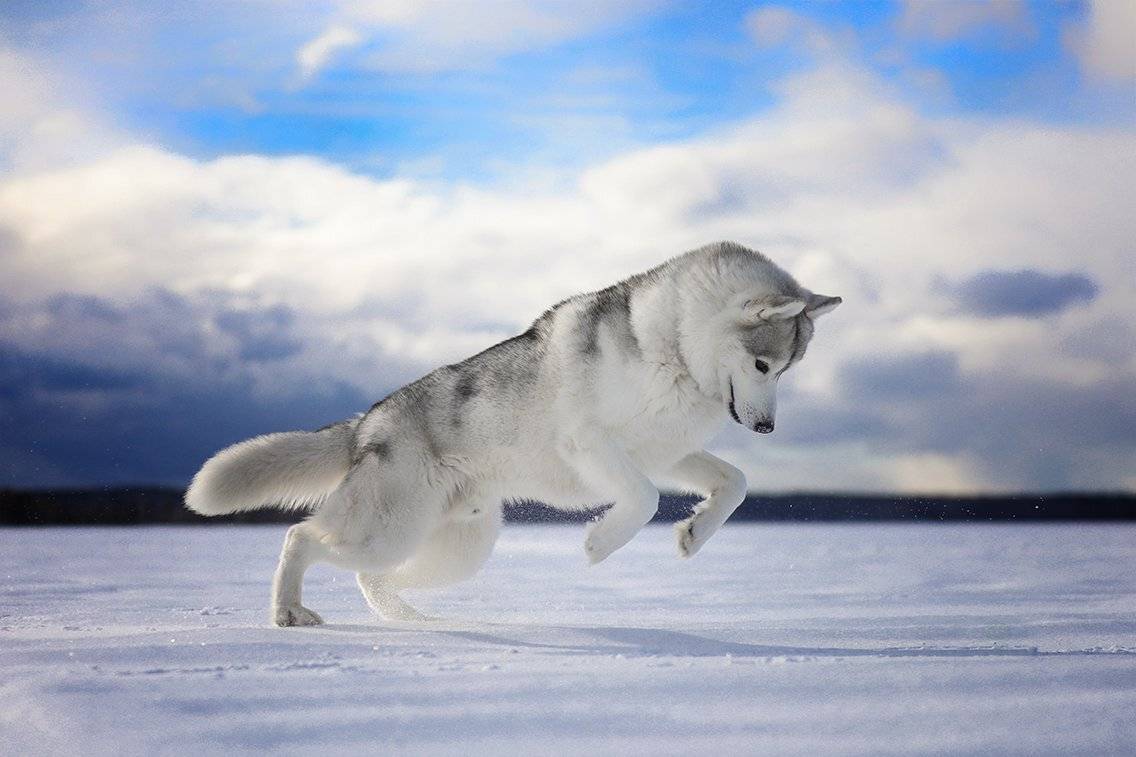 , Андрей Ершов