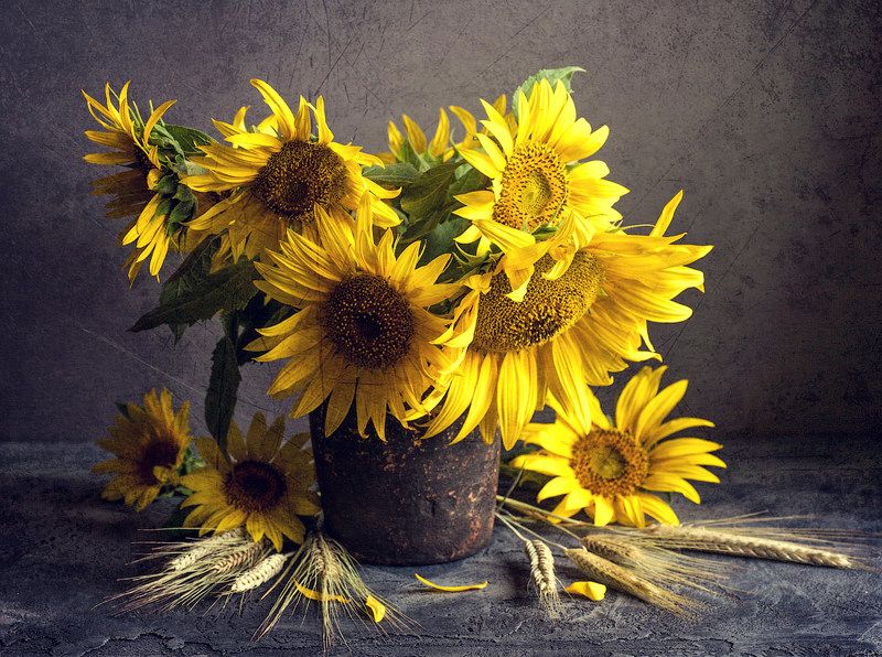 Summer фото превью